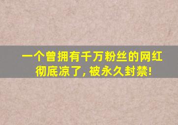 一个曾拥有千万粉丝的网红彻底凉了, 被永久封禁!